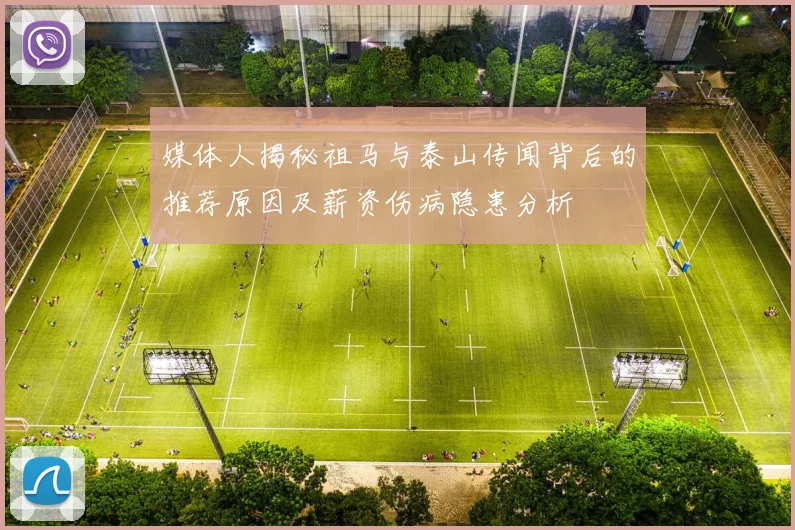 媒体人揭秘祖马与泰山传闻背后的推荐原因及薪资伤病隐患分析