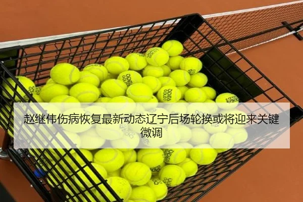 赵继伟伤病恢复最新动态辽宁后场轮换或将迎来关键微调（c7c7app）